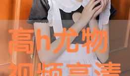 在线视频h,创新与突破