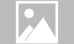 解剖视频,视频解析与知识概览